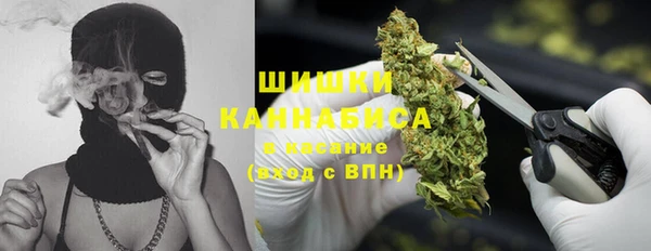 дурь Бородино