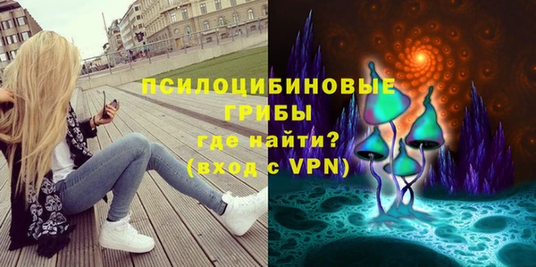 дурь Бородино