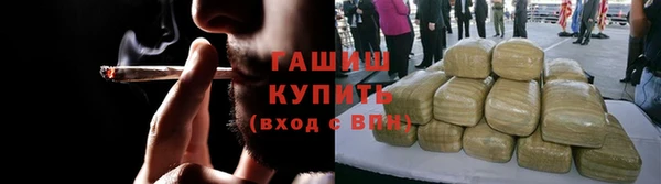 дурь Бородино