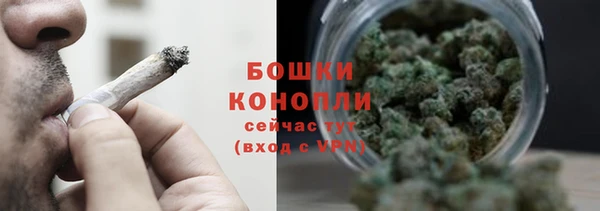 дурь Бородино